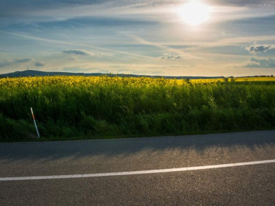 Why Mowing Road Shoulders Matters